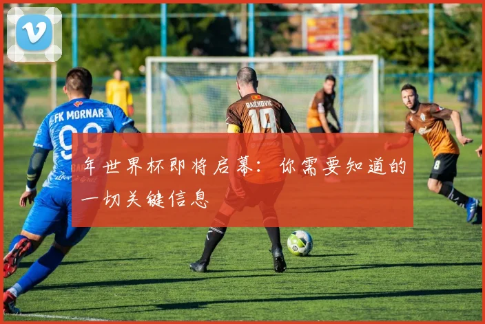 年世界杯即将启幕：你需要知道的一切关键信息