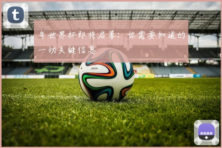 年世界杯即将启幕：你需要知道的一切关键信息