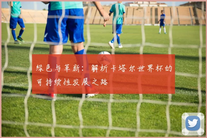 绿色与革新:解析卡塔尔世界杯的可持续性发展之路
