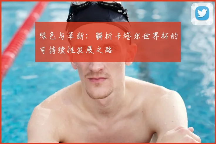 绿色与革新:解析卡塔尔世界杯的可持续性发展之路