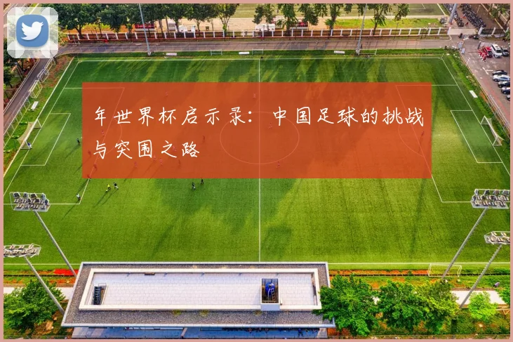 年世界杯启示录：中国足球的挑战与突围之路