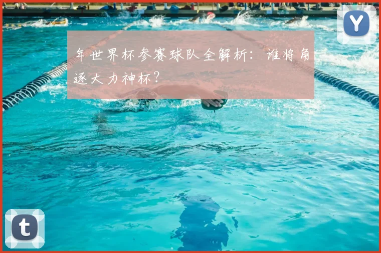 年世界杯参赛球队全解析：谁将角逐大力神杯？