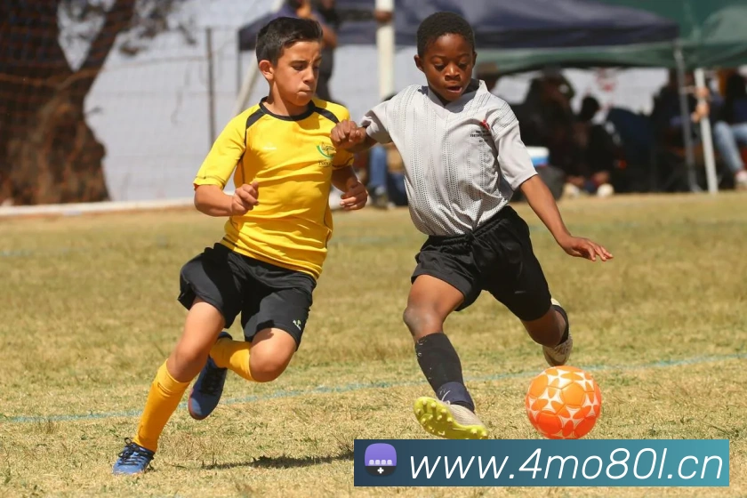 星空体育在线网址发展历程